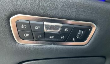 BMW X7 xDrive30d M-Sport full